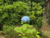 img0161.jpg