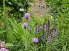 img0167.jpg