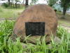 img0180.jpg