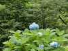 img0181.jpg