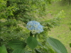img0185.jpg