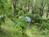 img0189.jpg