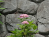 img0190.jpg