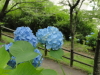 img0191.jpg
