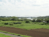 img0003.jpg