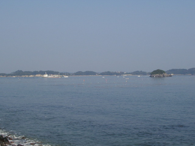 img0008.jpg