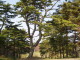 img0013.jpg