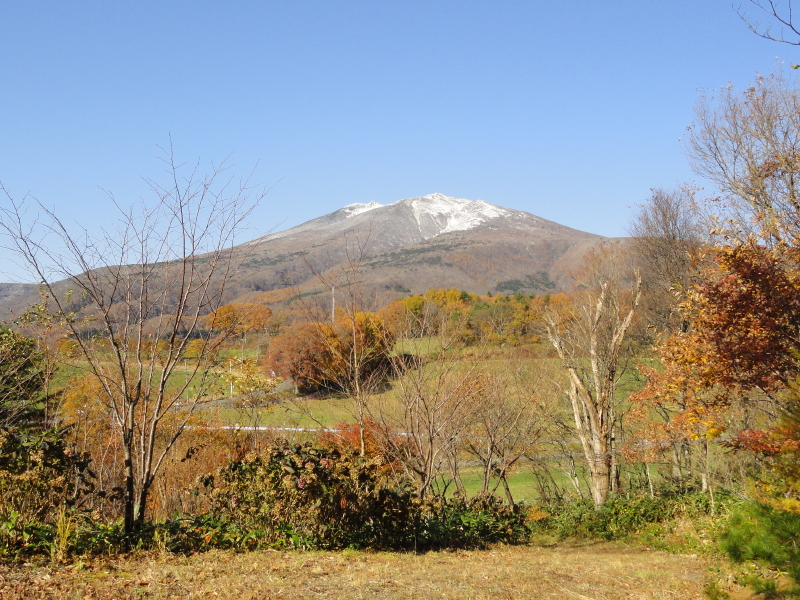 img0012.jpg