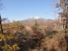 img0006.jpg