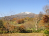 img0012.jpg