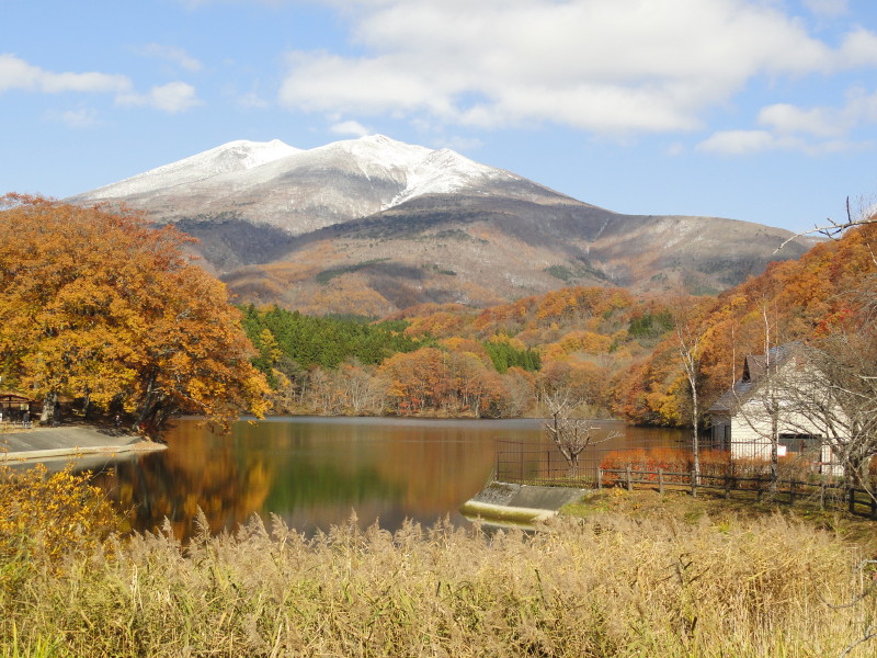 img0003.jpg