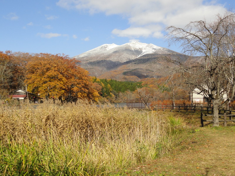 img0004.jpg