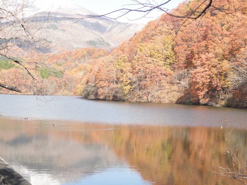 img0008.jpg