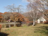 img0005.jpg