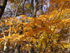 img0016.jpg