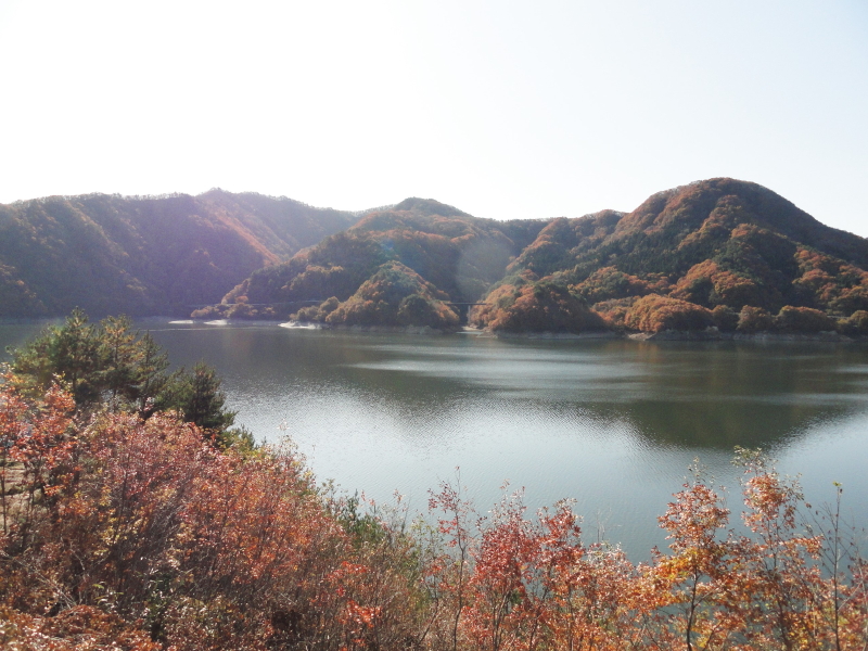 img0005.jpg