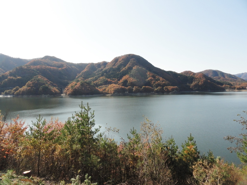 img0017.jpg