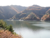 img0003.jpg