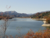 img0008.jpg
