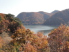 img0014.jpg