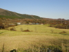img0010.jpg