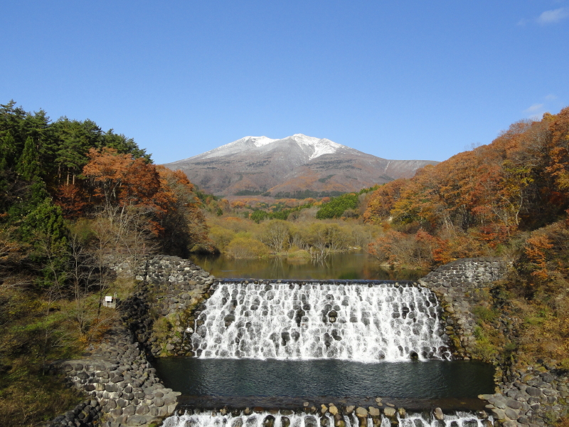img0020.jpg