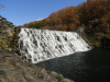 img0005.jpg