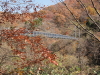 img0011.jpg
