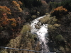 img0025.jpg