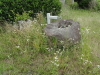 img0010.jpg