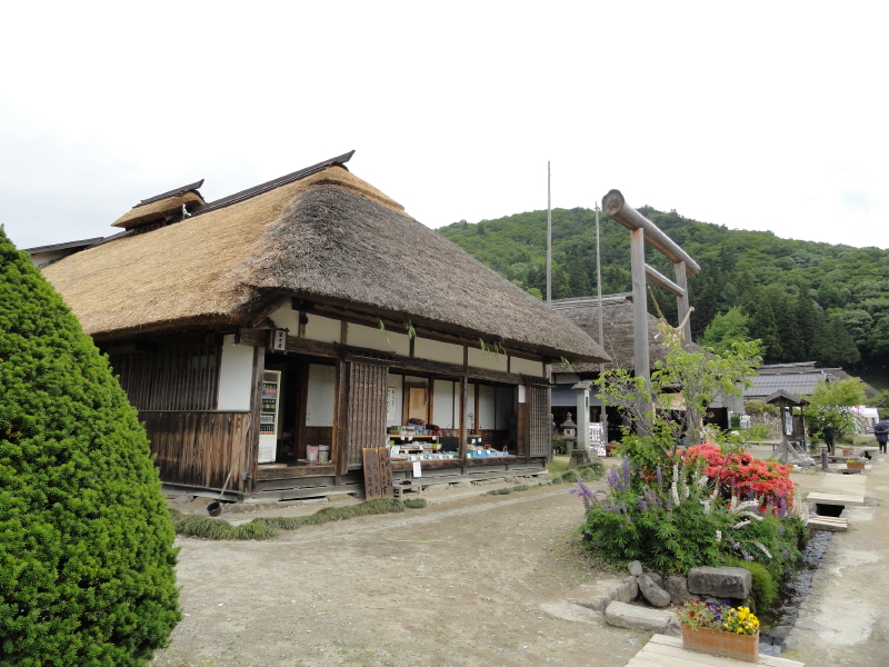 img0020.jpg