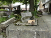 img0005.jpg
