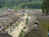 img0045.jpg