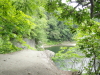 img0016.jpg