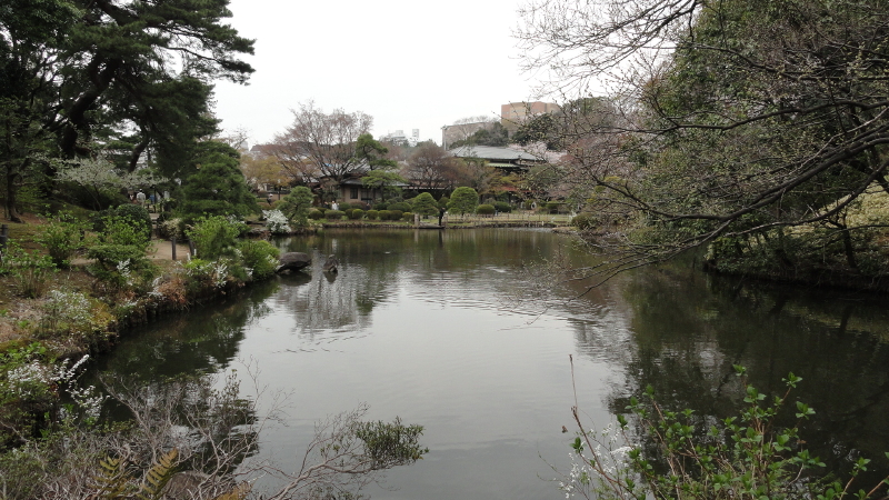 img0008.jpg