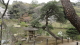 img0003.jpg