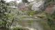 img0006.jpg