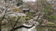 img0011.jpg