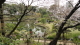 img0012.jpg