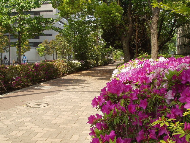 img0016.jpg