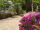img0016.jpg