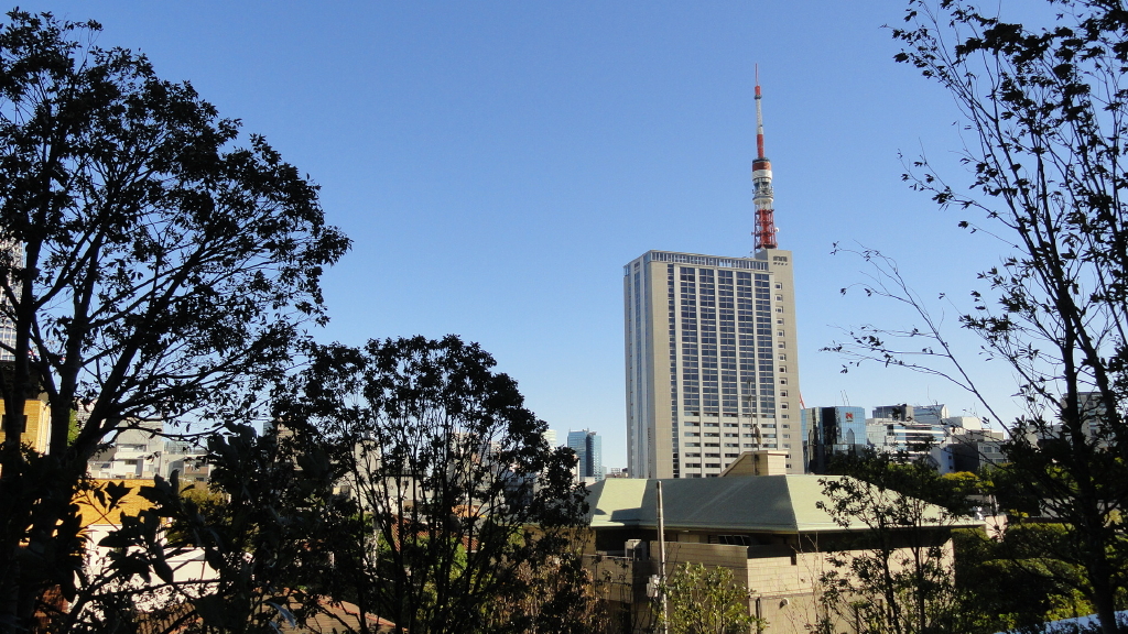 img0034.jpg