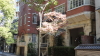 img0003.jpg