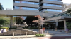 img0010.jpg