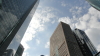 img0019.jpg