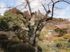 img0007.jpg