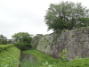 img0009.jpg