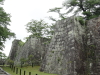 img0010.jpg