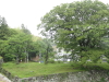 img0012.jpg