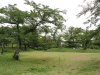 img0042.jpg